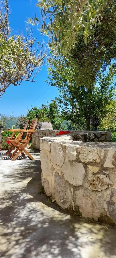 PlátanosMargarita'S Stone Houseアパートメント エクステリア 写真